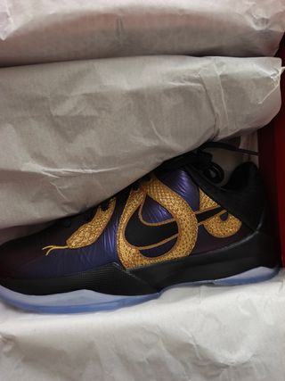 Nike Kobe V Protro Year of the Mamba