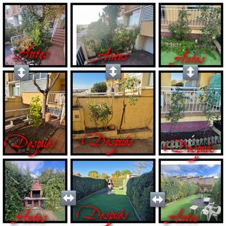 Jardinero profesional