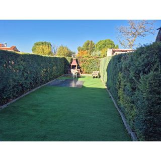 Jardinero profesional