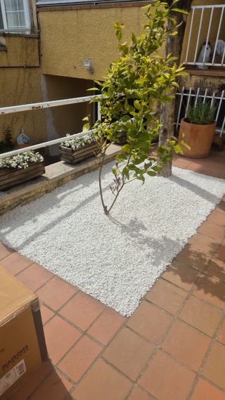 Jardinero profesional
