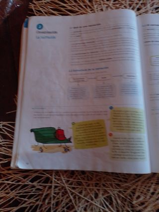 Lengua y Literatura 1.  Isbn:9788414304723
