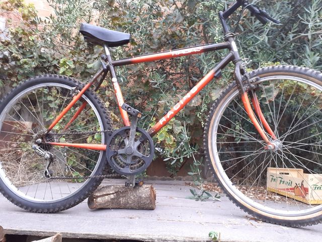 Bicicleta de montaña vintage