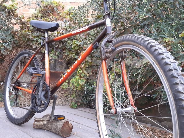 Bicicleta de montaña vintage