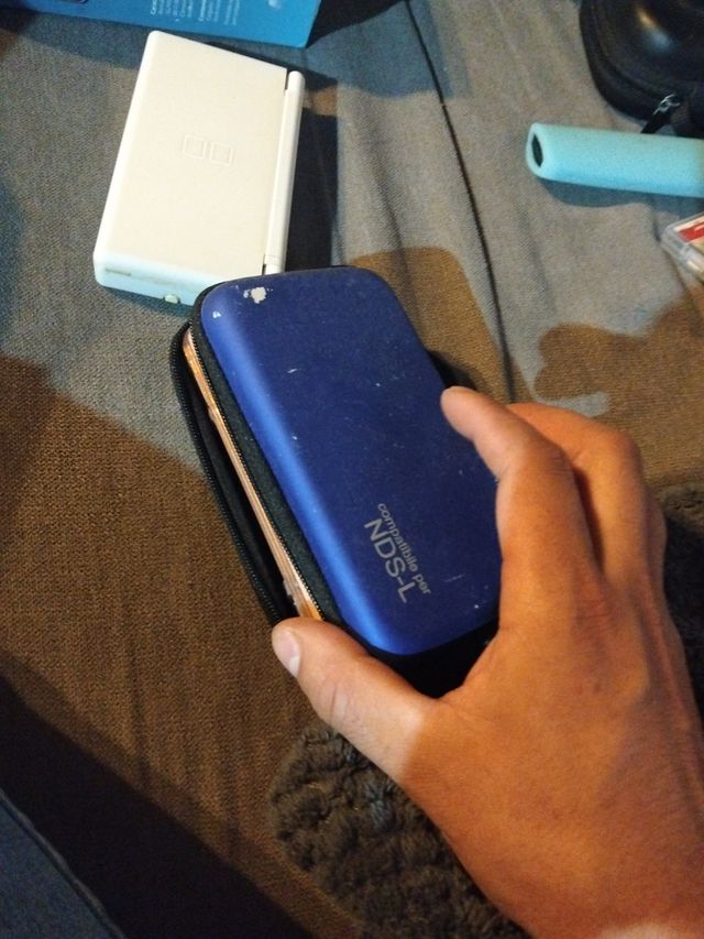 Nintendo DS Lite Pink con cover protettiva