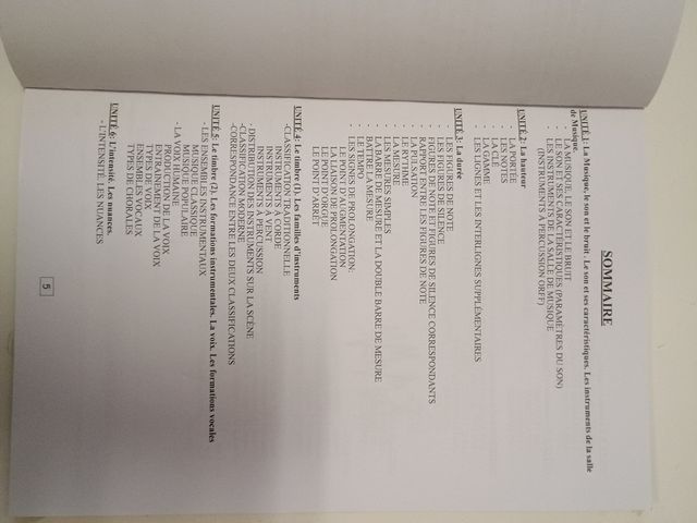 MUSIQUE EN FRANÇAIS.
ENSEIGNEMENT BILINGUE. THEORI