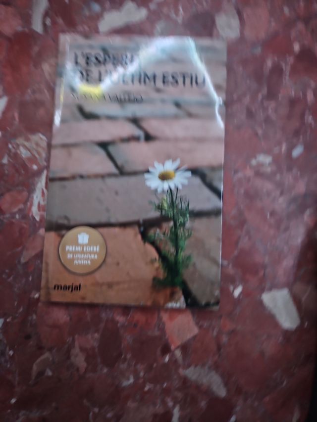 L'ESPERIT DE L'ÚLTIM ESTIU