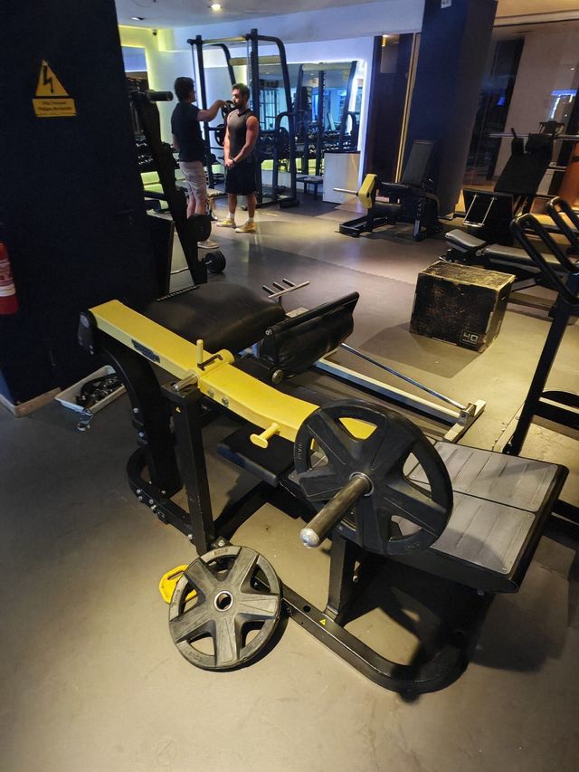 Máquinas de Gimnasio - Las Mejores Marcas