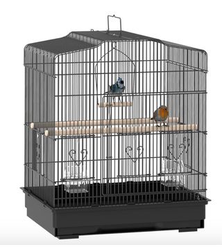 Jaula para pájaros con percha