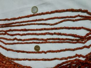  cuentas de coral