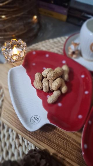 Set 2 Platos Cerámica Seta Rojos