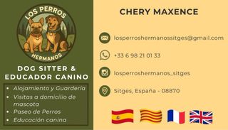Educación Canina (diplomado) en Sitges.