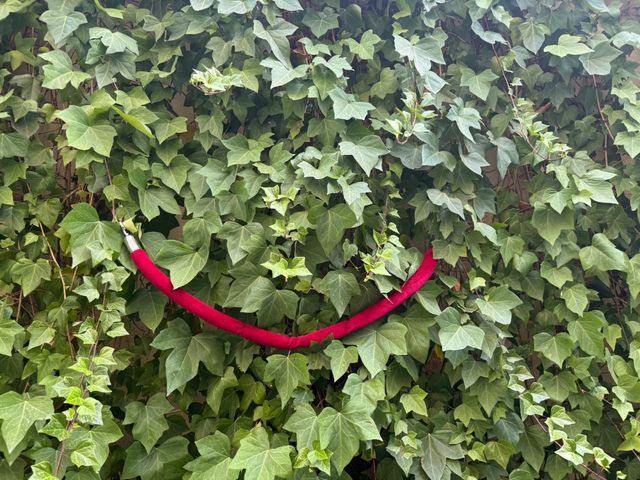 Cuerda terciopelo rojo, prohibido el paso!!!!!