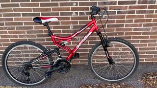 Bicicleta Berg 245 niño 6-10 años 