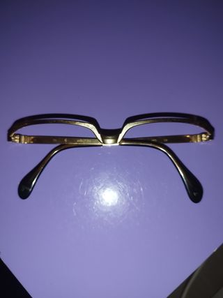 Occhiali Metzler Germania Oro 6575 135