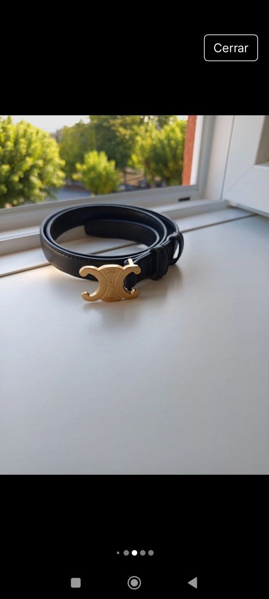 Cinturón Negro y Dorado