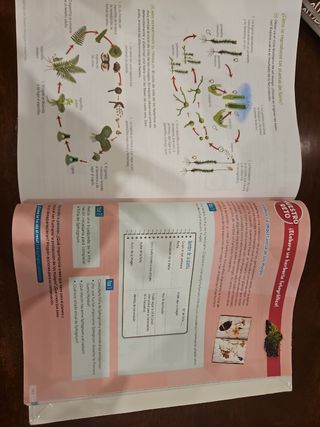 Biología y Geología. 1 Secundaria. Revuela