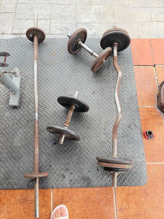 Banco de pesas con discos y barra Z