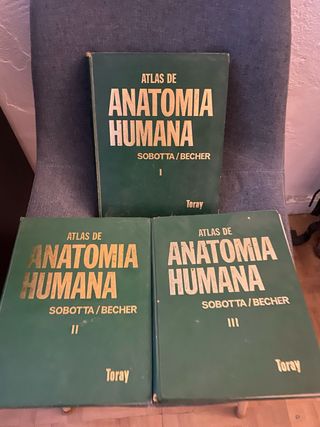 Atlas de anatomía humana