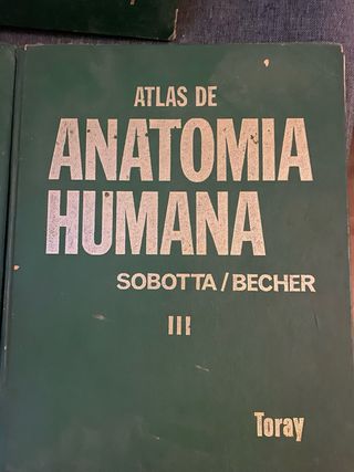 Atlas de anatomía humana