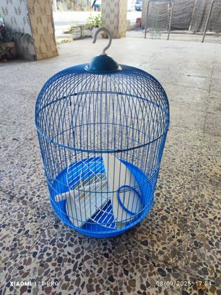 Jaula para pájaros azul