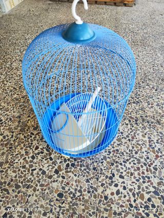 Jaula para pájaros azul