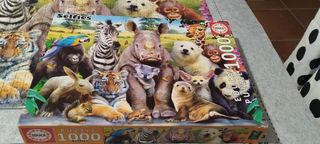 Puzzle 1000 piezas