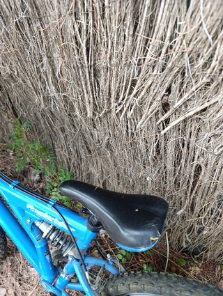 Bicicleta azul de montaña