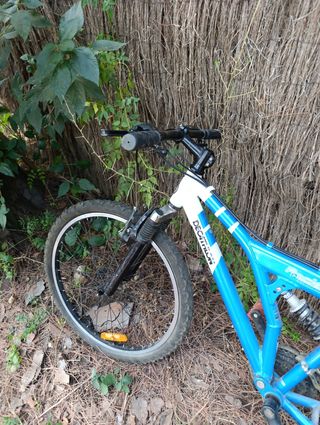 Bicicleta azul de montaña