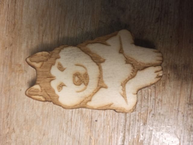 3 Calamite a forma di cane