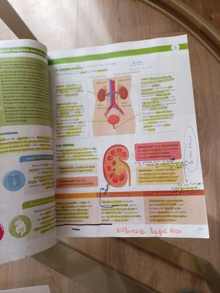 BIOLOGIA Y GEOLOGIA C-LEON 3 ESO CONSTRUYENDO M...