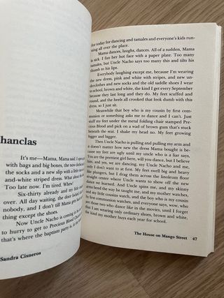 The house of mango street