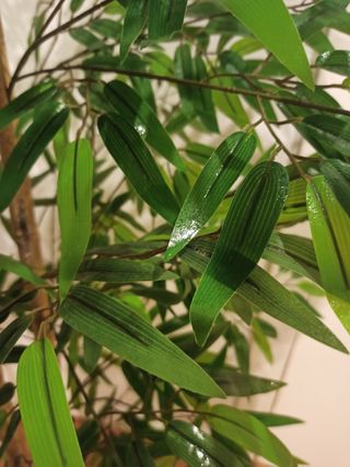 Pack 4 Plantas Artificiales