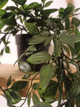 Pack 4 Plantas Artificiales