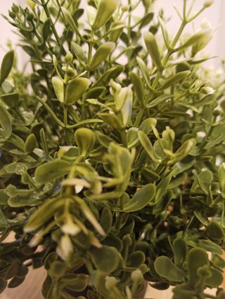 Pack 4 Plantas Artificiales