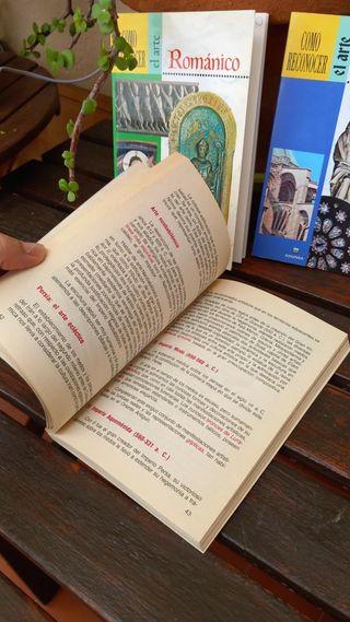 Gótico, Románico e Historia del Arte