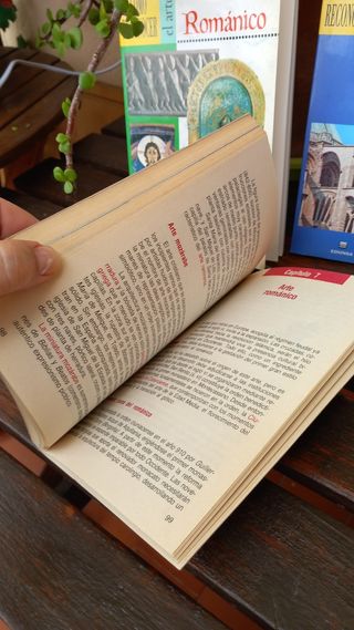 Gótico, Románico e Historia del Arte