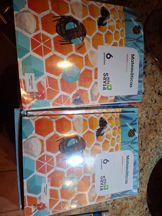 Libros de 6° de primaria