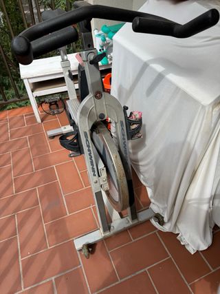 Bicicleta Spinning Schwinn IC Pro