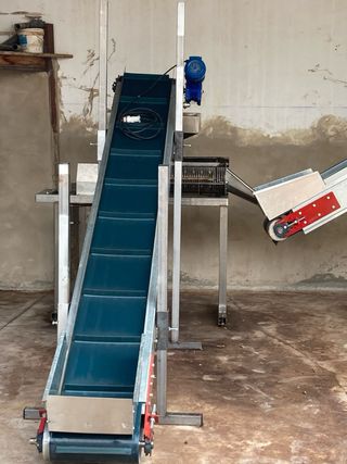 Procesadora de pistachos