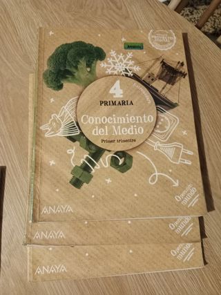 Libros de 4 de Primaria 