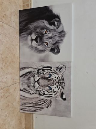 Quadri decorativi con animali in bianco e nero