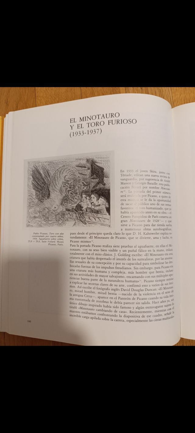 El Pintor Y La Tauromaquia