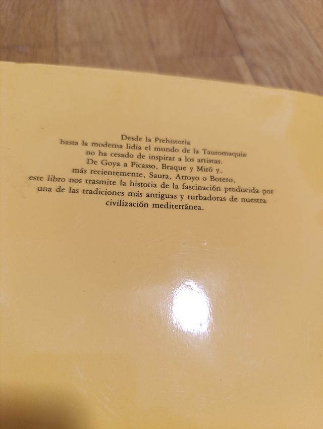 El Pintor Y La Tauromaquia