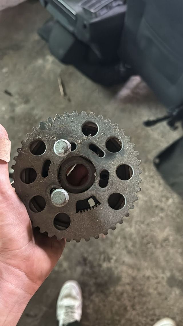 Polea arbol de levas arl