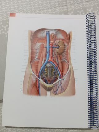 PROMETHEUS. Texto y Atlas de Anatomía.