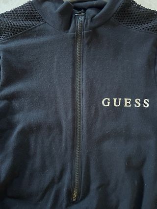 Tubino Guess