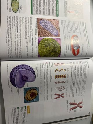 Inicia Biología y Geología 1.º Bachillerato. Li...
