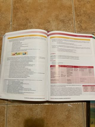 Libro: Lengua Y Literatura Castellana 1ºbachill...