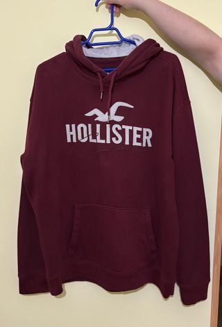 Sudadera Hollister