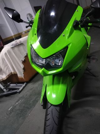 Kawasaki Ninja 250R Verde 2008